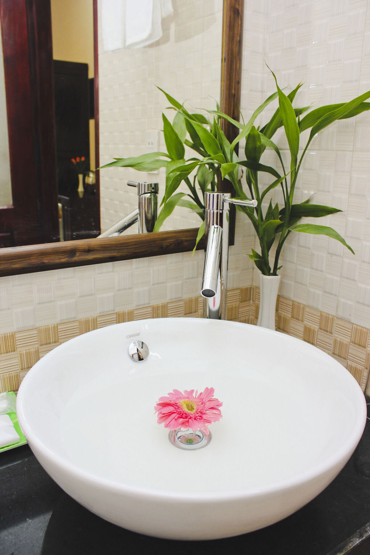 Phoenix Homestay Hoi An Exterior photo